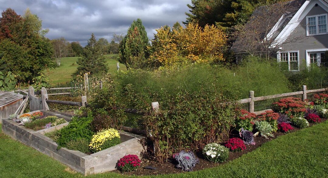 Vegetable Gardening in Vermont