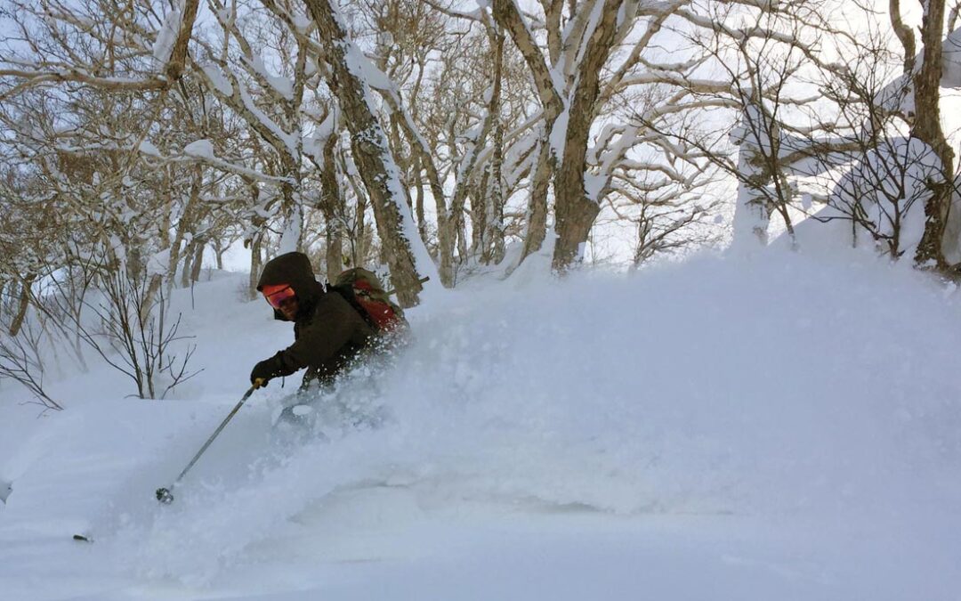 Backcountry Skiing the Birthday Bowls